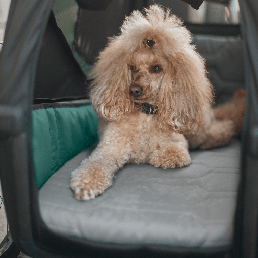 thule-bexey-dog-bed-g3