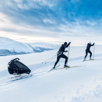 Thule Chariot cross-country skiing kit – Skilanglaufset (für Lite/Cab) – Ansicht 2