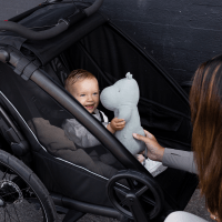 thule-chariot-sport-2-g9